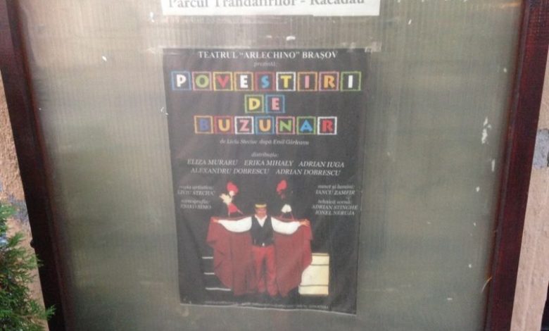 BRAŞOV. Ultimul spectacol „Arlechino Estival” 1 img-0942_3.jpg