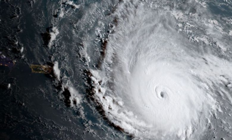 irma.jpg