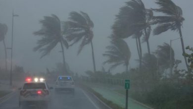 irma2.jpg