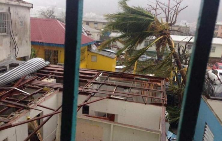 irma_4.jpg
