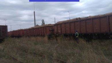 lemne tren_241585.jpg