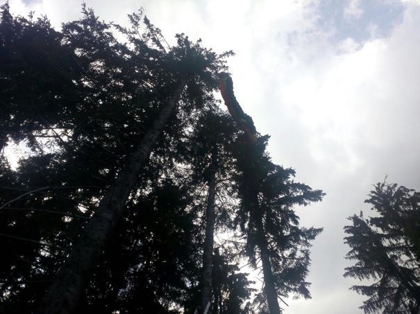 Au rămas agățați cu parapanta la 20 de metri înălțime 1 parapantabrad.jpg