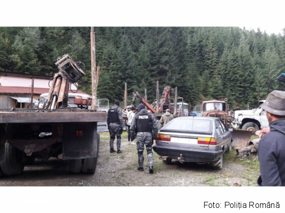 Percheziții, inclusiv la firme, într-un dosar privind tăieri ilegale și furt de arbori (FOTO) 1 perchezitii lemne 2_240757.jpg