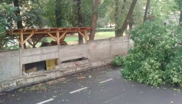 BRAȘOV - FOCAR DE INFECȚIE. Spitalul Mârzescu - PERICOL PUBLIC, gardul se dărâmă, cad copaciii!!! GALERIE FOTO... 1 spital_13.jpg