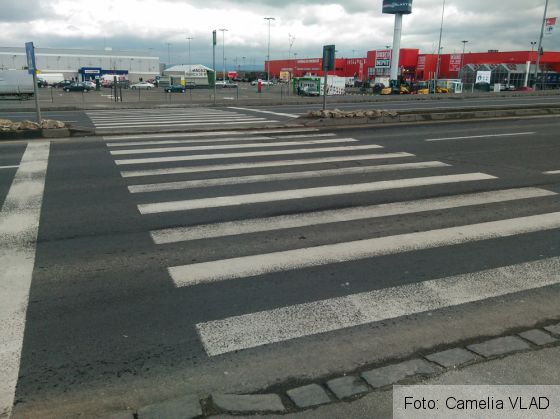 BRAȘOV. 35 de permise de conducere au fost reținute astăzi, în municipiu, pentru neacordare de prioritate pietonilor 1 IMG_20160114_112630_202612.jpg