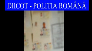 actefalsificate.png