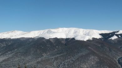 avalanse.jpg