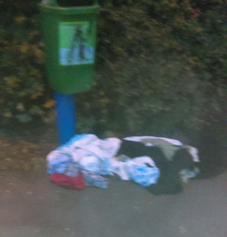 Au reapărut aurolacii în Brașov! 1 imag0179.jpg
