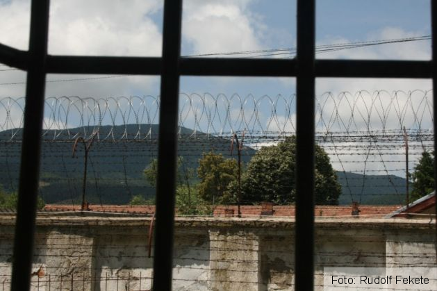 penitenciarCodleaiunie08_216840.JPG