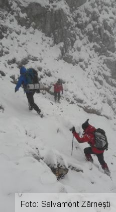 BRAȘOV. Salvatorii montani zărneșteni, în acțiune prin vânt și zăpadă, în Piatra Craiului! (Galerie FOTO) 1 salvamont zarnesti_243094.jpg