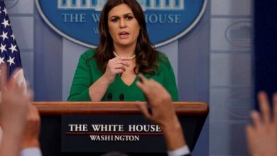 sarah_2.jpg