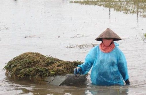 Bilanțul inundațiilor din Vietnam a ajuns la 75 de morți 1 vietnam_2.jpg