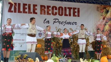 zilelerecoltei1.jpg