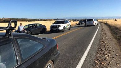 california_4.jpg
