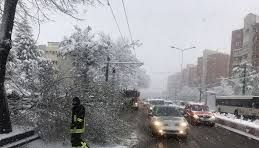 copaci-cazuti.jpg