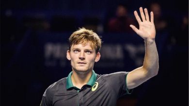 goffin.jpg