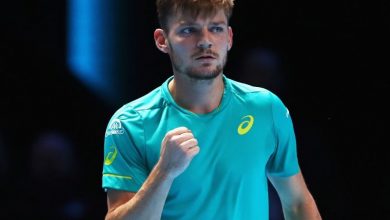 goffin_2.jpg