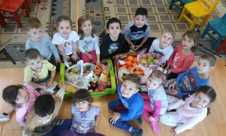 VOLUNTARIAT. „Juniorii” Grădiniței nr. 26 Brașov au donat peste 600 kg de fructe și legume! GALERIE FOTO... 1 gradi1_3.jpg