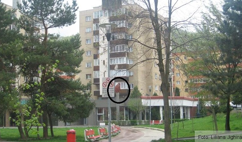 BRAȘOV. Un urs se plimbă pe pietonalul din Răcădău (FOTO) 1 img-8402.jpg
