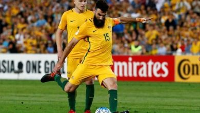 jedinak.jpg