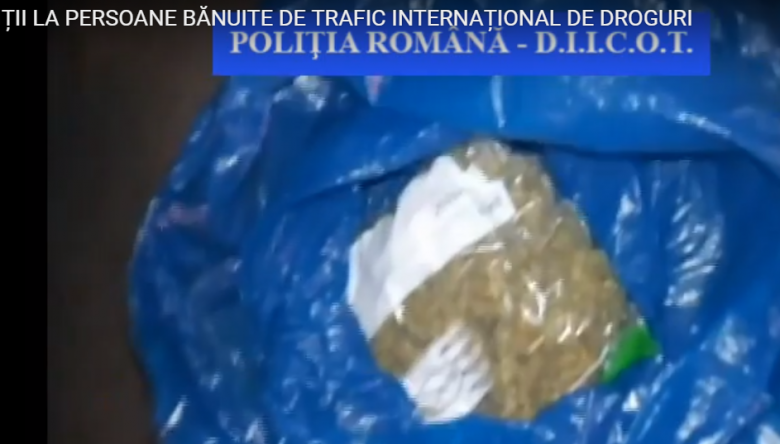 perchezitiidroguri.png