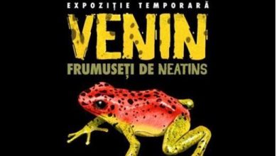 venin.jpg