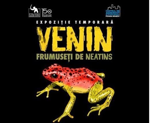 BRAȘOV. Frumuseți veninoase expuse în Poiană 1 venin.jpg