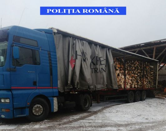 BRAȘOV. Transport ilegal de lemne confiscat și autoutilitară indisponibilizată de polițiști (foto) 1 2_244869.jpg