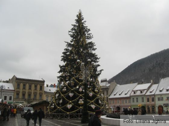 IMG_6358_244856.JPG