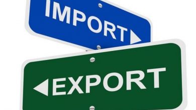 exporturi.jpg