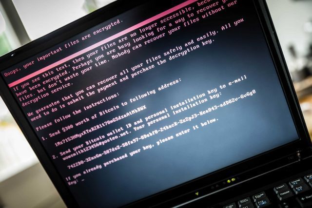 Cinci hackeri, arestați în România 1 hackeri_3.jpg