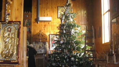 img-6635.jpg