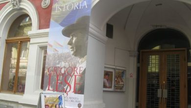 lese.jpg