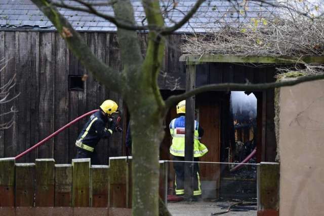 Incendiu la Zoo din Londra 1 londra_20.jpg