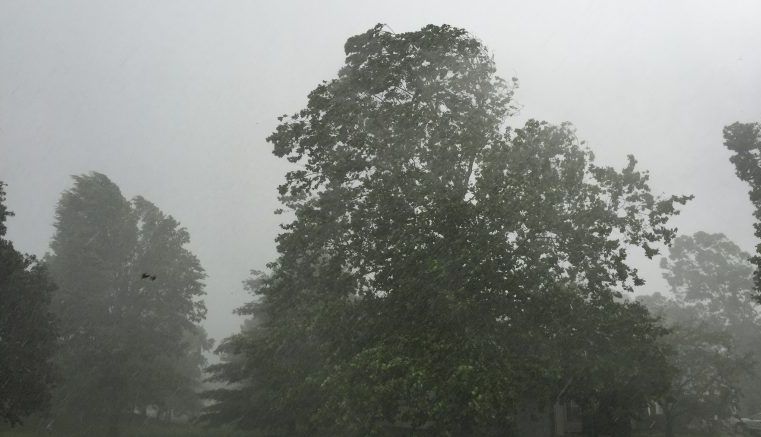 BRAȘOV. Revine iarna pentru câteva zile 1 meteo_8.jpg