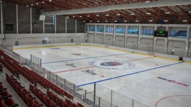 patinoar_3.jpg