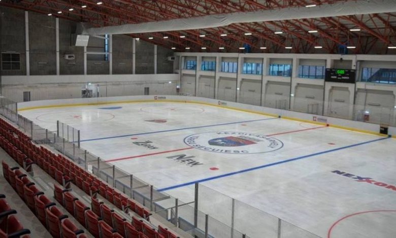 patinoar_3.jpg