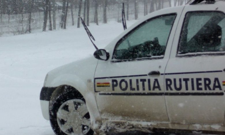 rutieraiarna.jpg