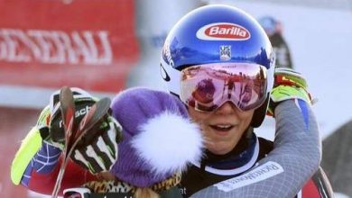 shiffrin_6.jpg
