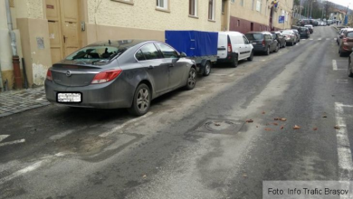 tigla castelului 2_245276.jpg