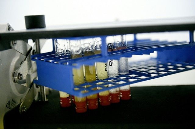 Agenția Mondială Antidoping a suspendat acreditarea Laboratorului Antidoping din București 1 wada.jpg
