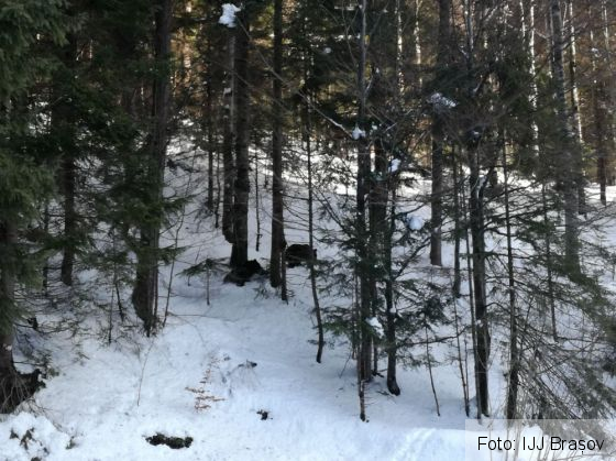 IMG-20180128-WA0001_246933.jpg