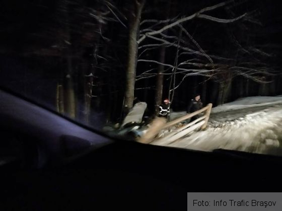 BRAŞOV. A ieşit în decor, în timp ce şofa pe Drumul Poienii. Şoferul s-a ales cu dosar penal 1 accident drumul poienii_246354.jpg
