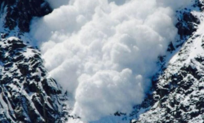 avalansa_8.jpg