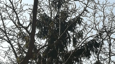 img-20180115-wa0002.jpg