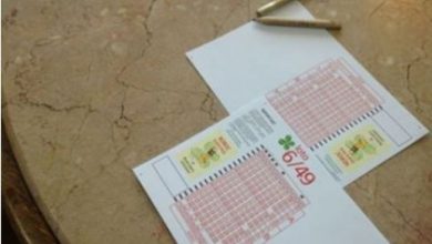loto_141.jpg