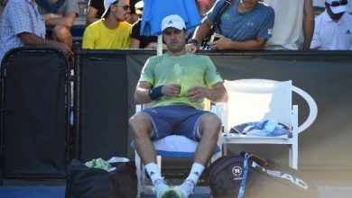 mischazverev.jpg