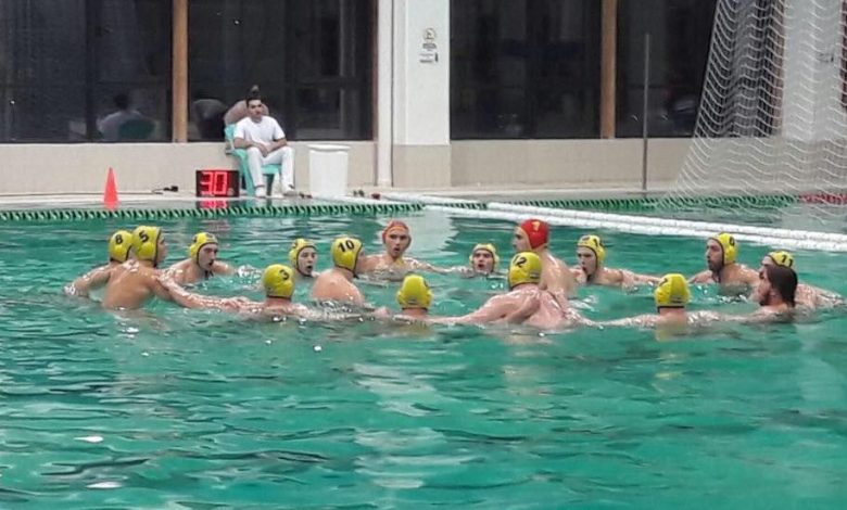 polo_6.jpg