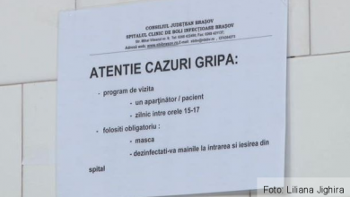 afisgripa.jpg