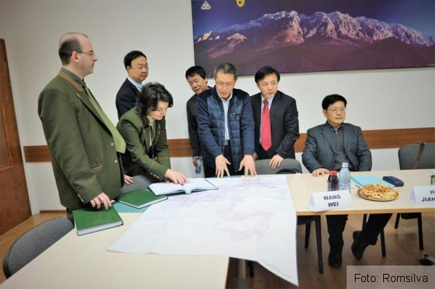 BRAȘOV. Delegație din China, în vizită la Direcția Silvică Brașov (foto) 1 chinezi directia silvica_247624.jpg